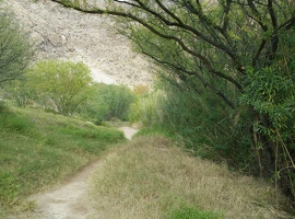 Canyon trail